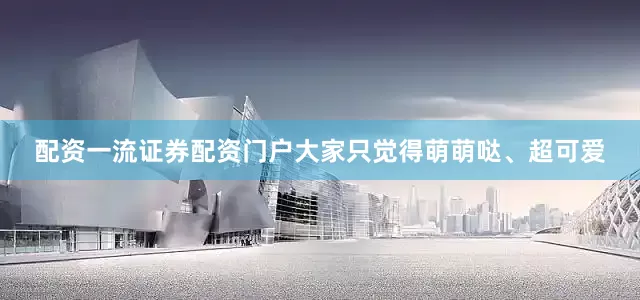 配资一流证券配资门户大家只觉得萌萌哒、超可爱