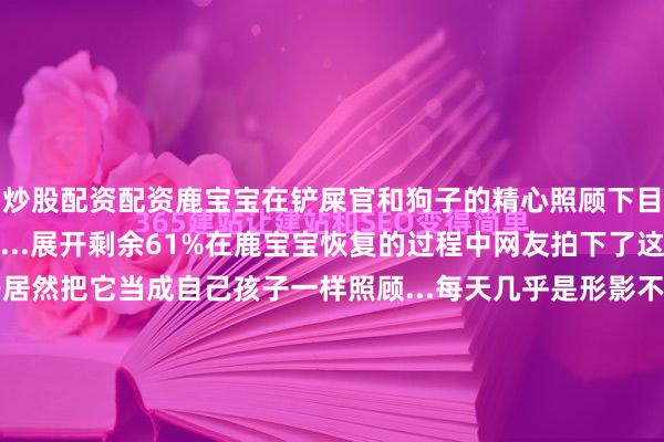 炒股配资配资鹿宝宝在铲屎官和狗子的精心照顾下目前身体已经慢慢恢复...展开剩余61%在鹿宝宝恢复的过程中网友拍下了这些暖心的画面...狗子居然把它当成自己孩子一样照顾...每天几乎是形影不离的守护在鹿宝宝身边当小鹿被陌生人惊吓到时这货就会上去给个暖心的抱抱...又是被狗狗温暖的一天啊！发布于：广东省