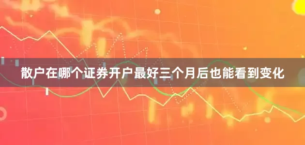 散户在哪个证券开户最好三个月后也能看到变化
